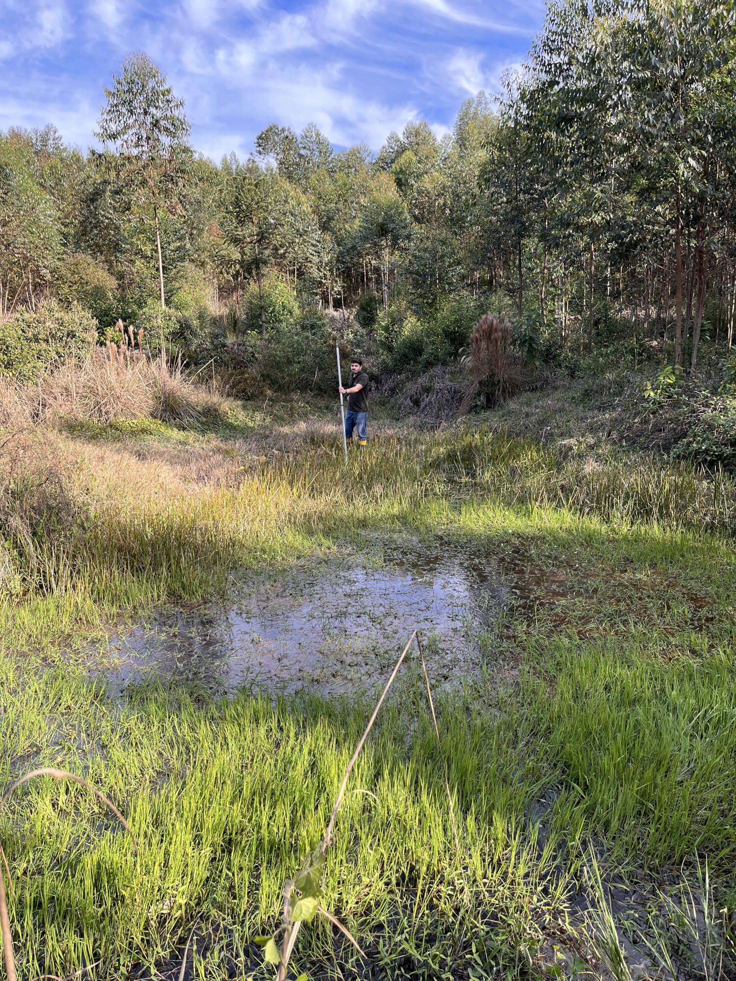 Avaliação técnica, diagnóstico e caracterização e/ou descaracterização de Áreas de Preservação Permanente (APP)